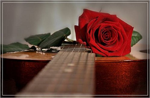 Ca khúc Cây đàn bỏ quên và những trăn trở về tình yêu của nhạc sĩ Phạm Duy